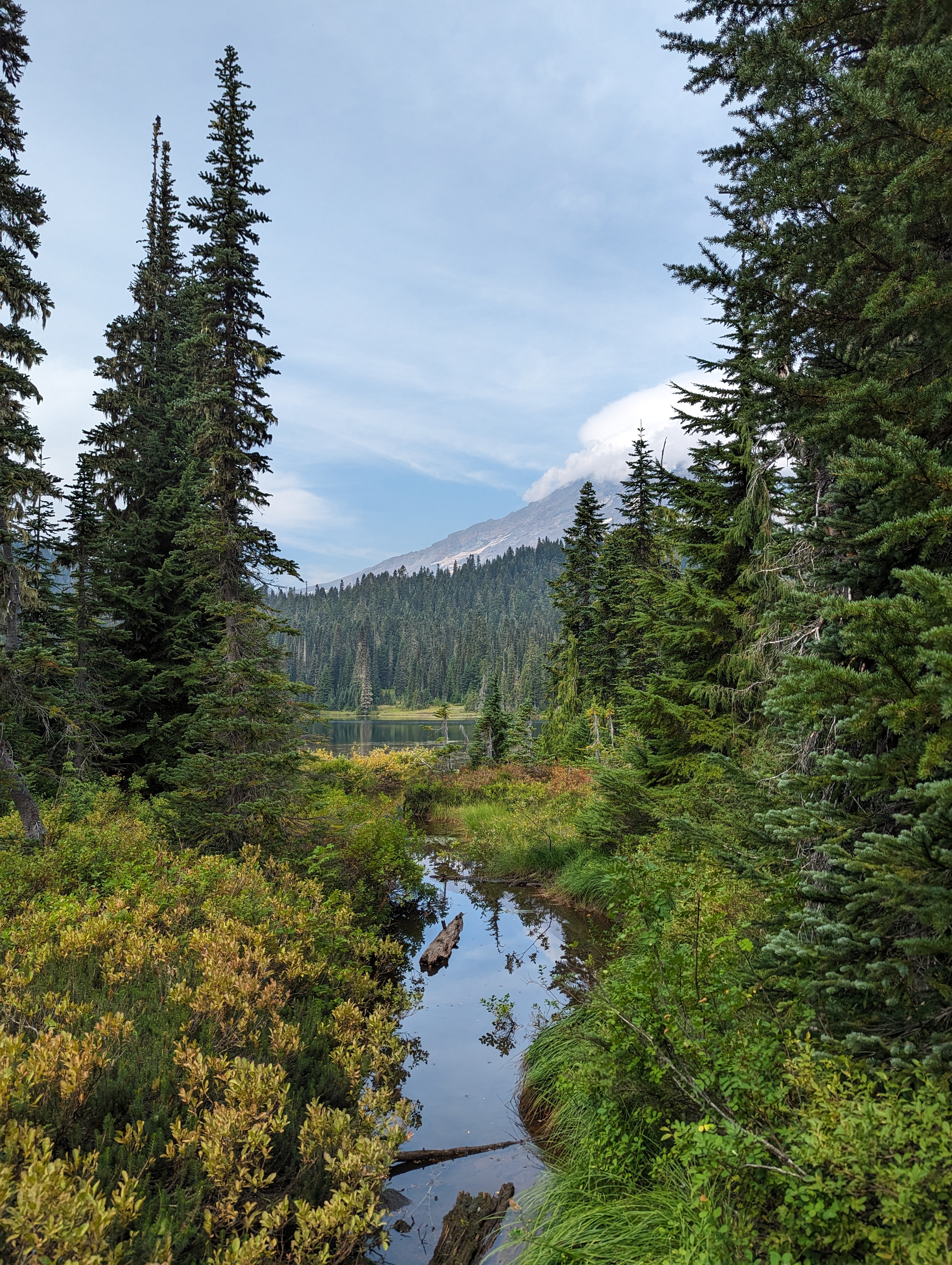 Washington State 2025 2